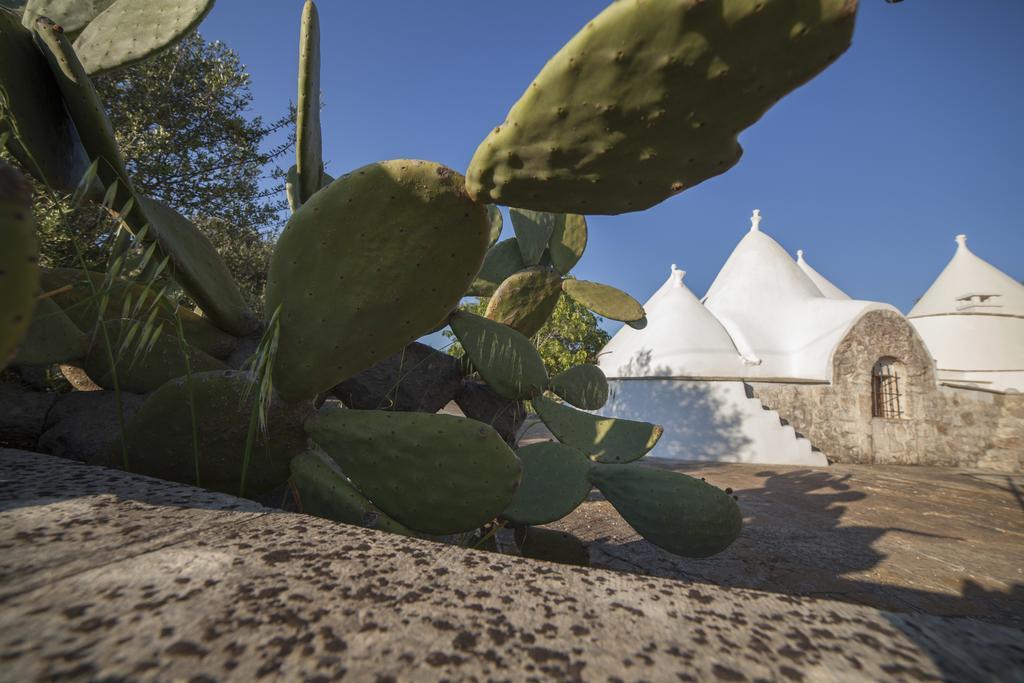 Trullo Degli Ulivi Villa ออสตูนี ภายนอก รูปภาพ